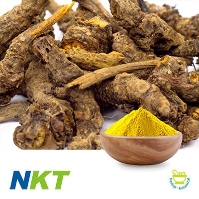 Berberine HCl 97% by Nokete Pharmaceutical
