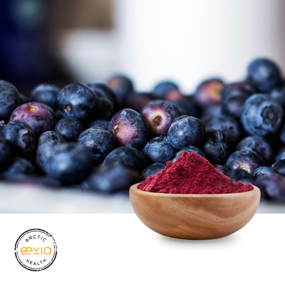 Bilberry Extract Powder 5:1  ≥ 1.2 % Anthocyanins by Eevia Health