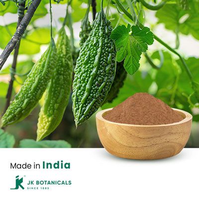 Bitter Melon Powder Steam Treated by JK Botanicals
