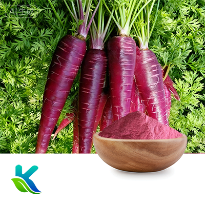 Black Carrot Juice Powder by Hunan Naturext