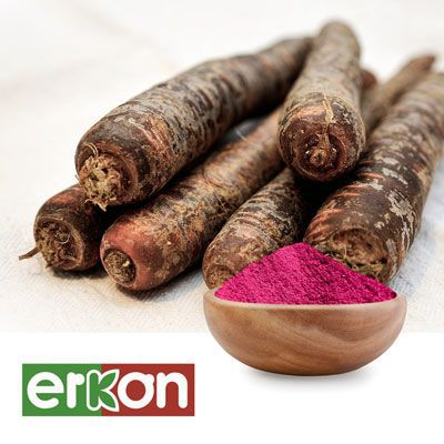 Black Carrot Juice Powder 11,0-14,0 CU by Erkon