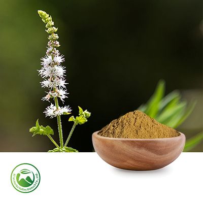 Black Cohosh Extract Triterpene Glycoside≥2.5% by Xi'an Herbs Valley