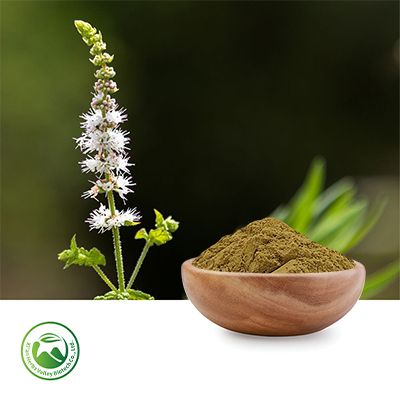 Black Cohosh Powder by Xi'an Herbs Valley