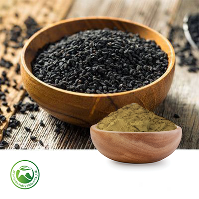 Black Cumin Powder by Xi'an Herbs Valley