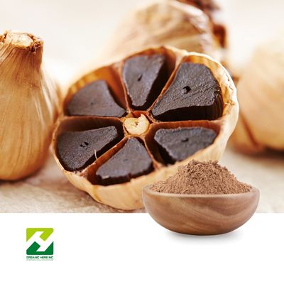 Black Garlic Extract 10:1 by Organic Herb Inc