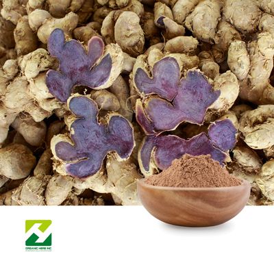 Black Ginger Extract 10:1 by Organic Herb Inc