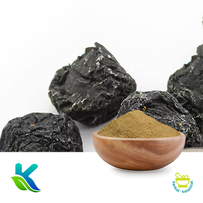Black Maca Root Extract 10:1 by Hunan Naturext