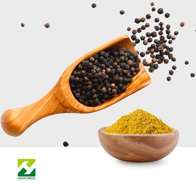 Black Pepper Extract 10:1 by Organic Herb Inc