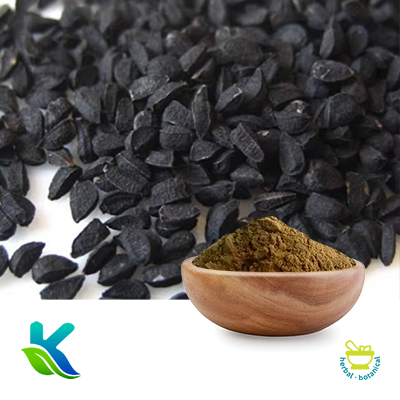 Black Seed Extract 10:1 by Hunan Naturext