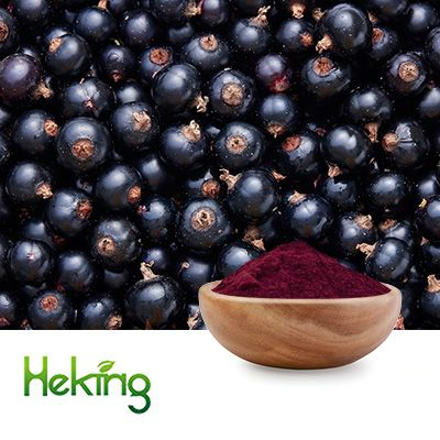 Black Currant Juice Powder by Heking