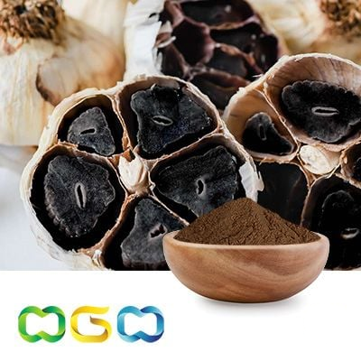 Black Garlic Extract Powder 1% S-Allyl-L-Cysteine (SAC) by HPLC by Herb Green Health