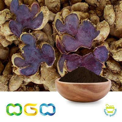 Black Ginger Extract Powder 5% 5,7-Dimethoxyflavone by HPLC by Herb Green Health