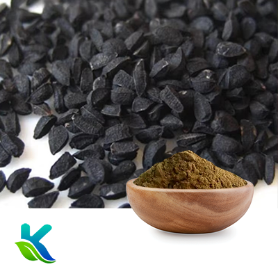 Black Seed Extract 10:1 by Hunan Naturext