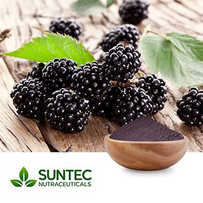 Blackberry Fruit Powder by Suntec Nutraceuticals