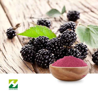 Blackberry Fruit Powder by Organic Herb Inc