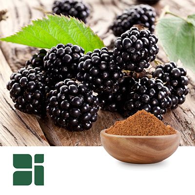 Blackberry Seed Powder by Botanic Innovations