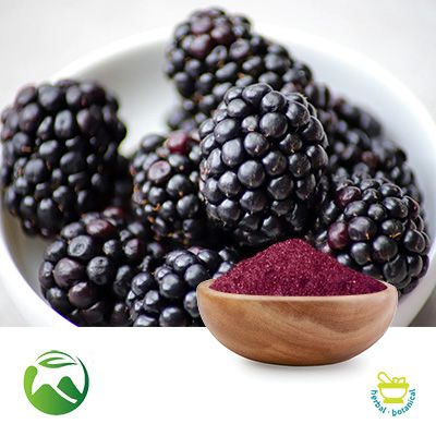 Blackberry Fruit Powder by Xi'an Herbs Valley