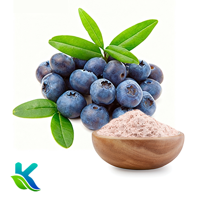 Blueberry Powder by Hunan Naturext