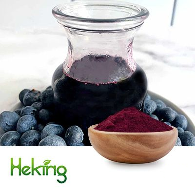 Blueberry Juice Powder by Heking