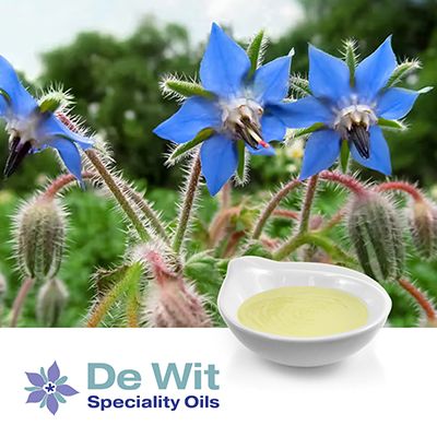 NEWmega™ Borage Oil CP-REF GLA 22% EP by De Wit Speciality Oils