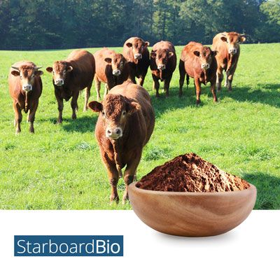 Bovine Bone Broth Powder by Starboard Bio