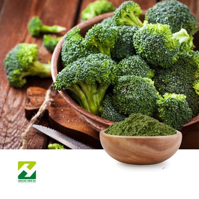 Broccoli Sprout Powder by Organic Herb Inc