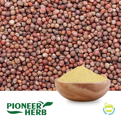 Broccoli seed extract Sulforaphane 0.4% powder by Pioneer Herb