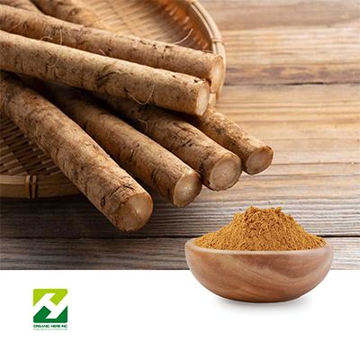 Burdock Root Extract 10:1 by Organic Herb Inc
