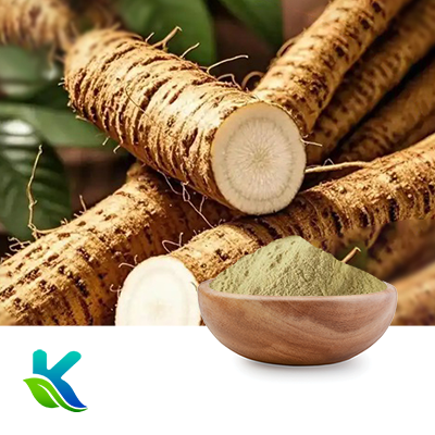 Burdock Extract 10:1 by Hunan Naturext