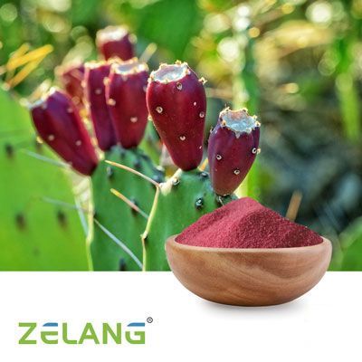 Cactus Fruit Powder by NanJing Zelang