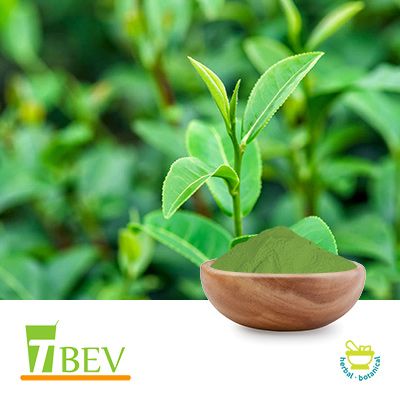 Caffeine 98% (Natural, Green Tea Origin) by T-Bev