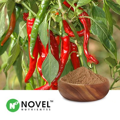 Capsicum Dry Extract 0.5% Total Capsaicinoids by HPLC by Novel Nutrientss