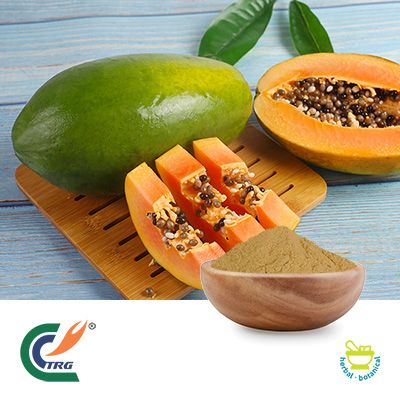 Carica Papaya Extract 10:1 by Hanzhong TRG