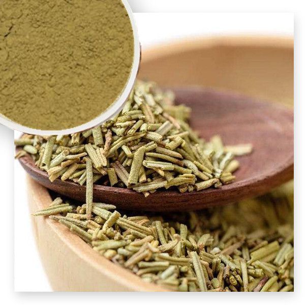 Carnosic Acid 60% Powder by Super