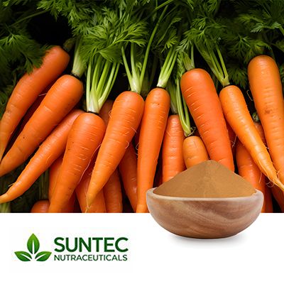 Carrot Powder  by Suntec Nutraceuticals