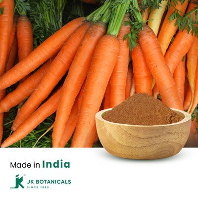 Carrot powder Steam Treated by JK Botanicals