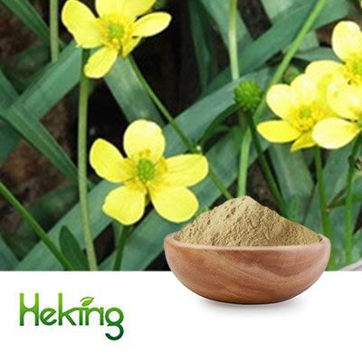 Cat's Claw Extract 10:1 by Heking