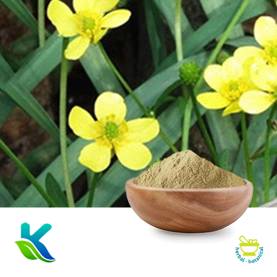 Cat's Claw Extract 10:1 by Hunan Naturext