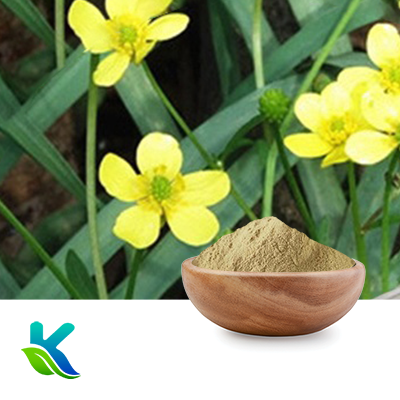 Cat's Claw Extract 10:1 by Hunan Naturext