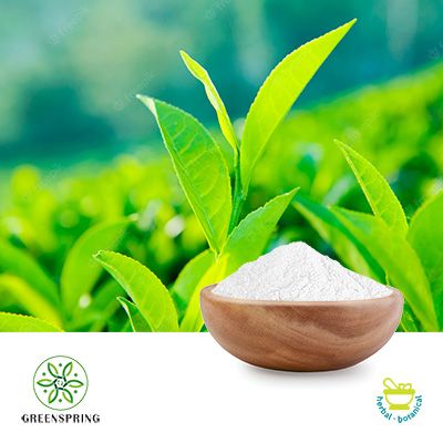 Catechin Powder 90%(HPLC) by Green Spring
