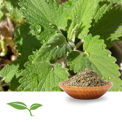Catnip Herb, Tea Bag Cut (Organic) by American Botanicals