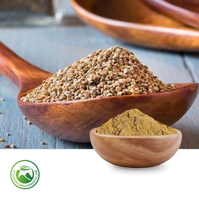 Celery Seed Extract 10:1 by Xi'an Herbs Valley