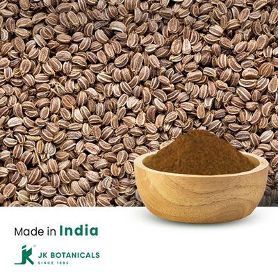 Celery Seed Powder Steam Treated by JK Botanicals