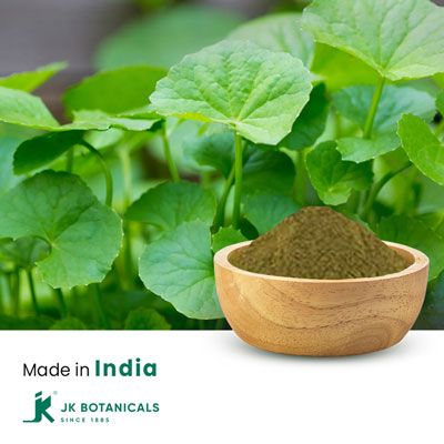 Centella Asiatica Extract 20% Saponin by Gravimetry by JK Botanicals