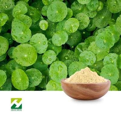 Centella Asiatica Extract 10:1 by Organic Herb Inc