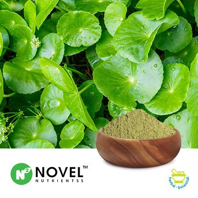 Centella Asiatica Powder by Novel Nutrientss