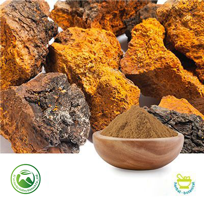 Chaga Mushroom Extract 50% Polysaccharides (10:1) by Xi'an Herbs Valley