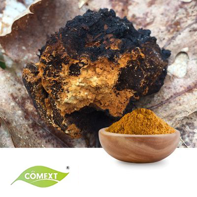 Chaga Mushroom Powder by Comext