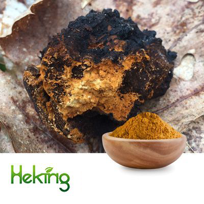Chaga Mushroom Powder by Heking
