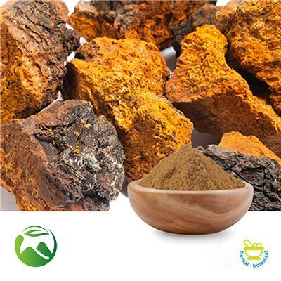 Chaga Mushroom Extract 50% Polysaccharides (10:1) by Xi'an Herbs Valley